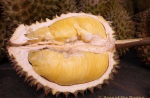 durian smell