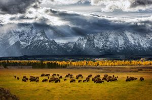 Teton National Park