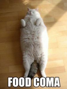 food coma thanksgiving