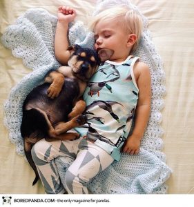Toddler puppy nap Adorable