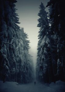 Winterland landscape