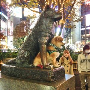 dog statute and real dog