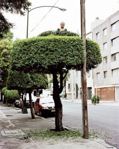 strange people standing on trees