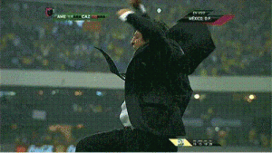 coach celebration wild soccer football Mexico