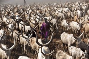 Dinka tribe in Sudan