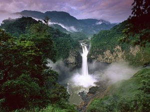 Yasuni National Park, Ecuador