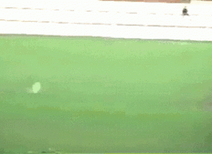 soccer missed goal stupid chance