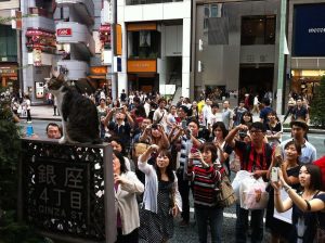 cat japanese tourists photos