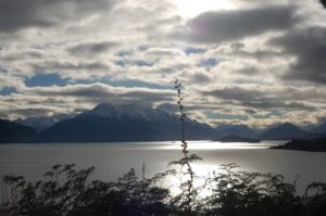 New Zealand hiking