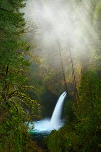 dreamy waterfall dashburst