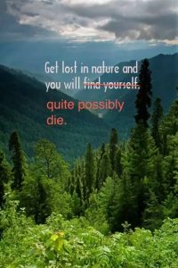 nature solitude lost