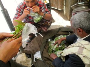qat sana'a weed buy