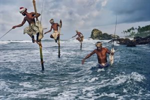 Stilt fishermen in Sri Lanka