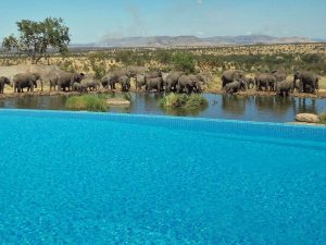 The Four Seasons Safari Lodge Serengeti in Tanzania lets you swim while watching elephants at a nearby water hole