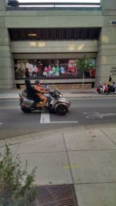 monkey harley davidson dude biker