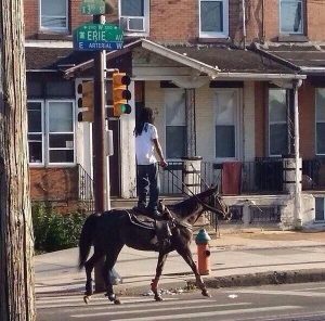 Philadelphia horse ride rider wtf