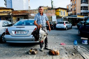 tirana chicken market sale yomadic