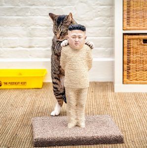 kim north korea un cat scrathcer doll funny