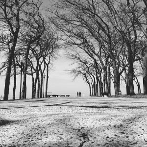 winter chicago ryan postel