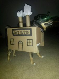 dog poop factory